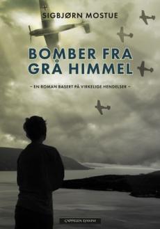 Bomber fra grå himmel : en roman basert på virkelige hendelser