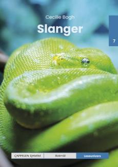 Slanger