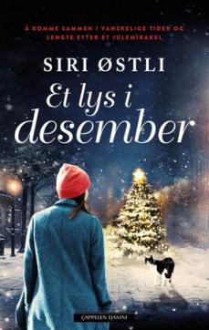 Et lys i desember