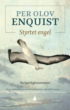 Styrtet engel : en kjærlighetsroman