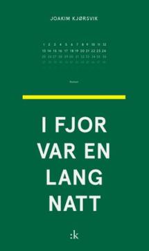 I fjor var en lang natt : roman