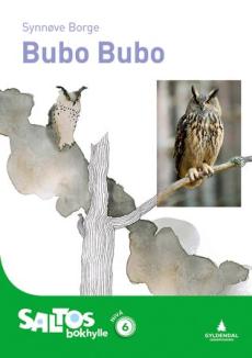 Bubo bubo : nivå 6