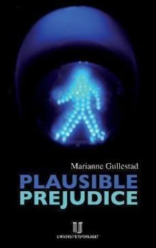 Plausible prejudice : everyday experiences and social images of nation, culture and race