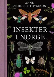 Insekter i Norge
