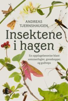 Insektene i hagen : en oppdagelsesreise blant sommerfugler, gresshopper og gullveps