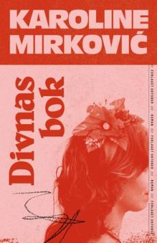 Divnas bok : roman