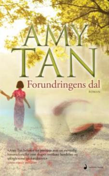 Forundringens dal : roman