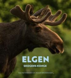 Elgen : skogens konge