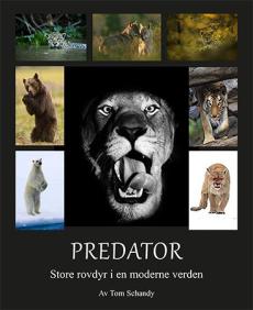 Predator : store rovdyr i en moderne verden