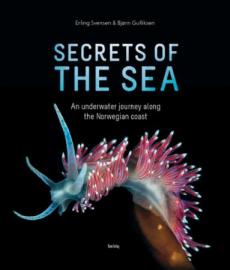Secrets of the sea : an underwater journey along the Norwegian coast