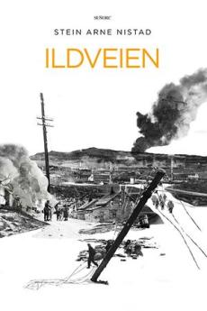 Ildveien : et historisk drama fra krigen i Finnmark og Europa 1944 - 1945