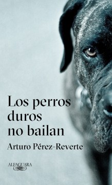  El problema final / The Final Problem (Spanish Edition):  9781644739082: Pérez-Reverte, Arturo: Libros