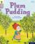 Oxford reading tree word sparks: level 1: plum pudding