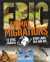 Animal migrations