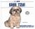 I Like Shih Tzu!