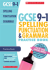 Spelling, punctuation and grammar practice book for all boards