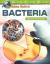 The Hidden World of Bacteria