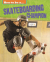 Skateboarding champion