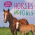 Animals and their babies: horses & foals