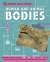 Science skills sorted!: human and animal bodies