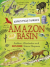 Amazon basin