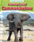 Amazing animal communicators