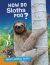 How do sloths poo?