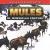 Mules in American History