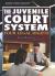 The Juvenile Court System