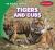 Tigers and Cubs