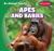 Apes and Babies