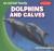 Dolphins and Calves