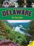 Delaware: The First State