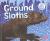 Ground Sloths