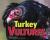 Turkey Vultures