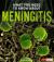 What You Need to Know about Meningitis