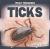 Ticks