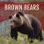 Brown Bears