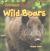 Wild Boars