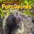 Porcupines