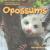 Opossums