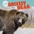 Grizzly Bear