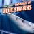 In Search of Blue Sharks