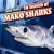 In Search of Mako Sharks