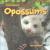 Opossums