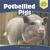 Potbellied Pigs