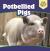 Potbellied Pigs