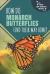 How Do Monarch Butterflies Find Their Way Home?