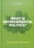 What is environmental politics?