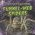 Funnel-Web Spiders